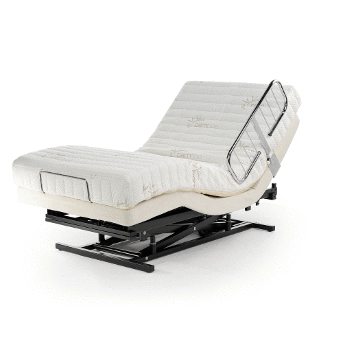 Irvine Electropedic electric 3 wheel fully electric hi lo hospital bed
