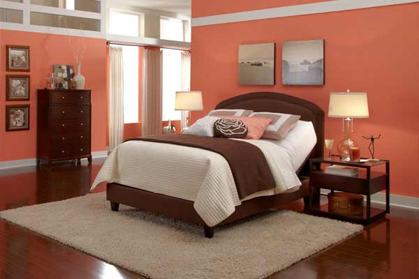 Irvine electric adjustable bed dual split king